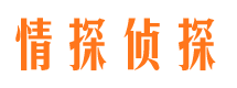 沙湾市侦探公司